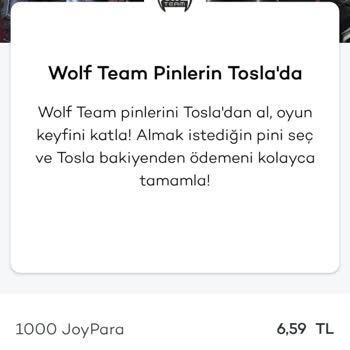 Tosla'da E-Devlet Engeli: Genç Kullanıcılar İçin Ödeme Sorunu