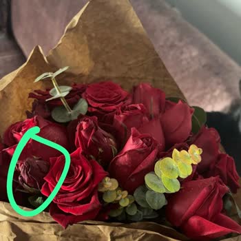 Yanıltıcı Ürün Ve İade Sorunu