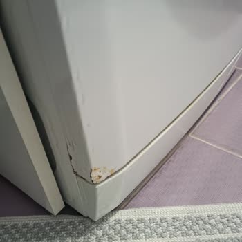 Çamaşır Makinesi Boya Sorunu