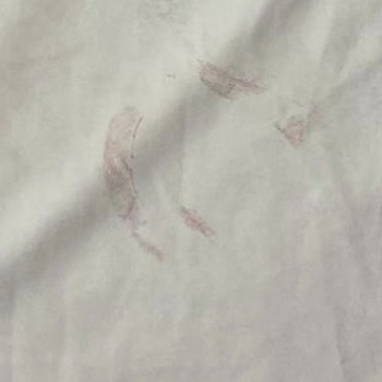 Kartal Yuvası'ndan Aldığım Forma Hayal Kırıklığına Uğrattı