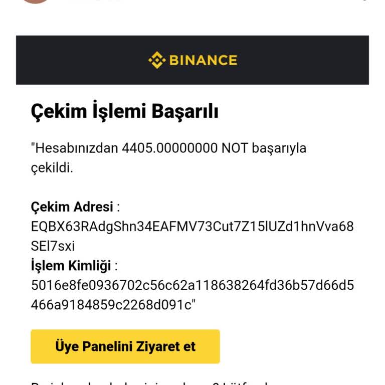 Mexc Binance'den Gönderilen Coinler Maxc'ye Ulaşmıyor: Mağduriyetin Giderilmesini Bekliyorum