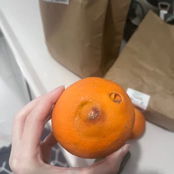 Migros Tazedirekt'ten Gelen Bozulmuş Ve Hijyensiz Ürünler