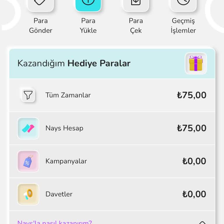 Nays Kampanyası Kullanım Sorunu
