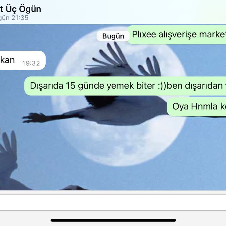 Sağlıklı Beslenme Özgürlüğümü Kısıtlayan Market Kapanışı