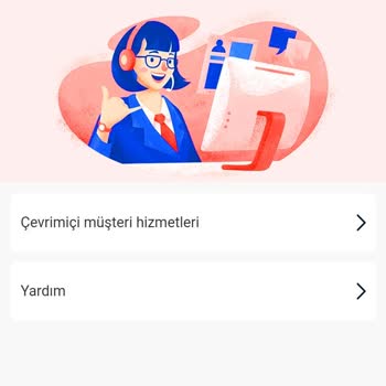 Yanıltıcı Site Yüzünden Kaybedilen Para