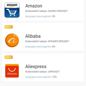 Yanıltıcı Site Yüzünden Kaybedilen Para