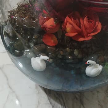 Çiçek Sepeti Hayal Kırıklığı Yaratan Teraryum Deneyimi