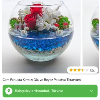 Çiçek Sepeti Hayal Kırıklığı Yaratan Teraryum Deneyimi