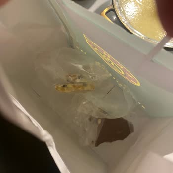 Kahve Dünyası'nda Hijyen Sorunu: Çikolatadan Kıl Çıkması