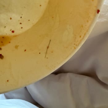 Çorba Zamanı (Şişli) Kelle Paçadan Çıkan Kıl