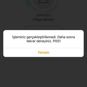 Mobil Şube Erişim Sorunu Ve Yetersiz Destek