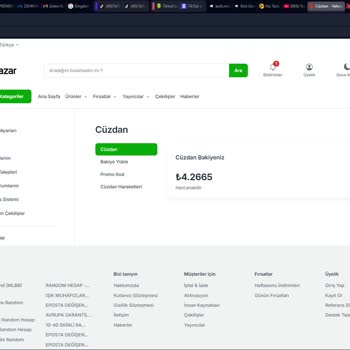 Teslim Edilmeyen Hesap Ve İlgisiz Destek