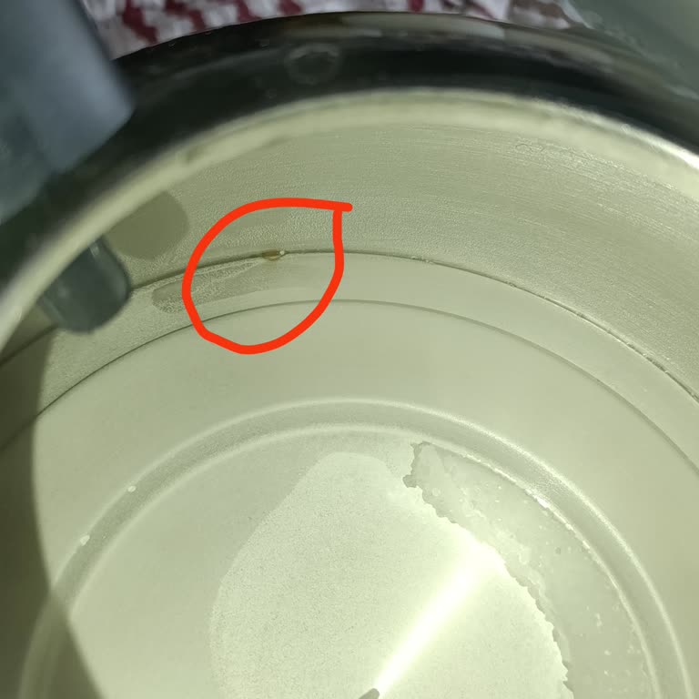 Karaca Retro Kettle'da Paslanma Sorunu