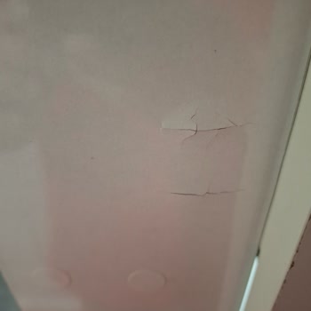 Ranza.com'dan Aldığım Yavrulu Ranza Tam Bir Hayal Kırıklığı!