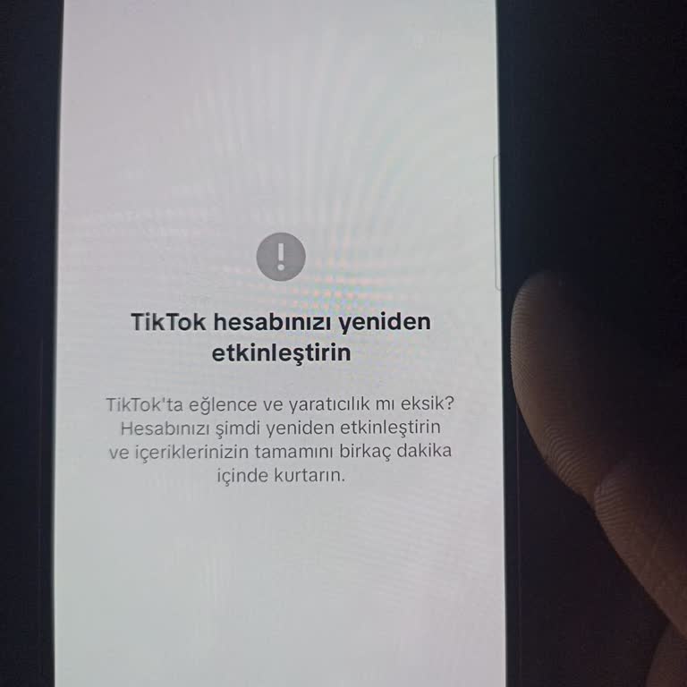 TikTok Hesabına Giriş Sorunu