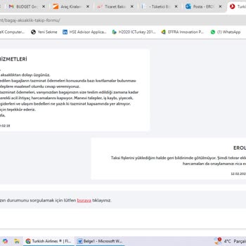 Valiz Kayboldu, THY Yol Ücretini Karşılamıyor