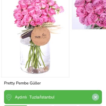 Taze Çiçek | Tazecicek.com Gece Yarısı Zam Şoku: Güvenimi Sarsan Site
