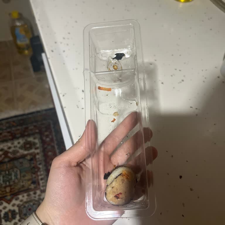 Sushi Tüketimi Sonrası Sağlık Sorunları