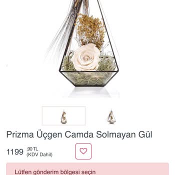 Lilyana Flowers'tan Hayal Kırıklığı