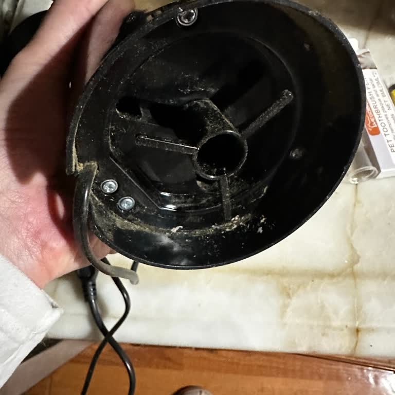 A101 Kapıda Uygulaması Ve Sinbo Baharat Öğütücü Hayal Kırıklığı