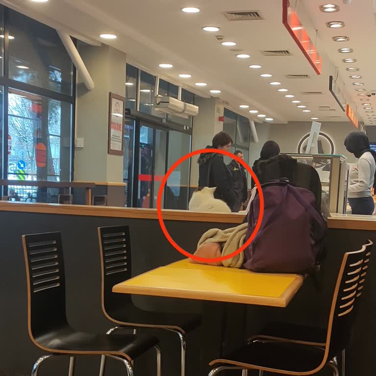 Restoranda Hijyen Sorunu: Masalara Çıkan Kediler