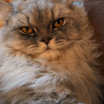 Yanlış Baskı Ve İade Sorunu