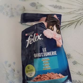 Purina Felix Cat Food Was Spoiled—My Cat Nearly Died from It