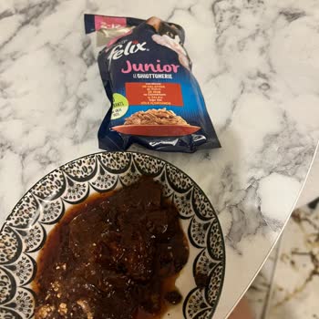 Purina Felix Wet Cat Food Was Spoiled—Made My Cat Vomit and Sick