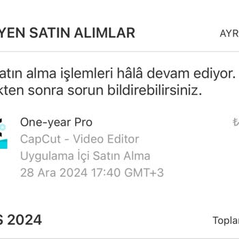 Capcut Üyelik Sorunu Telefonumu Kullanamıyorum