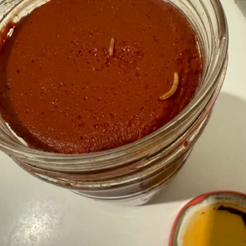 BİM'den Aldığım Salçanın İçinden Çıkan Şok Etti!