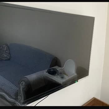 Toshiba Invented a TV That Stops Working Right After the Warranty Expires!