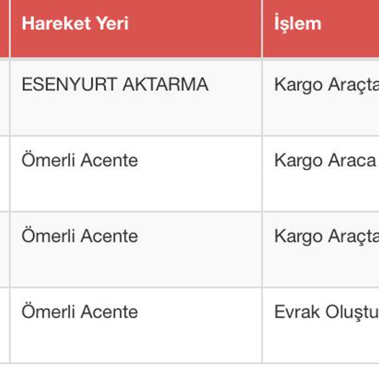 Kayıp Kargo Krizi: Günlerdir Bekletiliyorum
