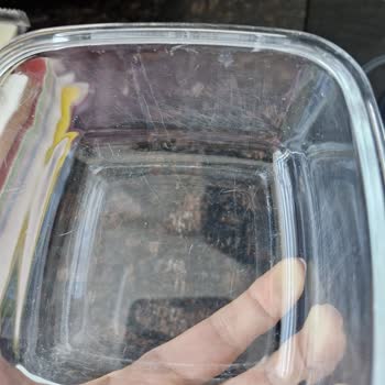 Bosch Sold Me an SMS4IKW51T Dishwasher That Does Not Clean and Scratches Dishes