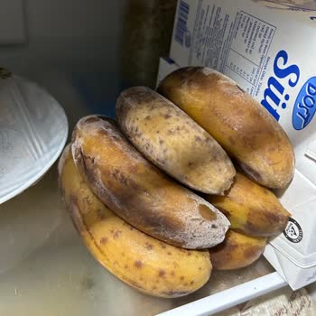 Bosch Buzdolabında Bitmeyen Donma Sorunu