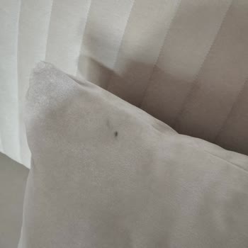 Nazar Home Isparta Koltuk Alımında Yaşanan Sorunlar