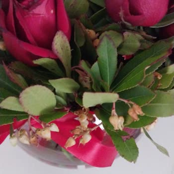 Solmuş Çiçekle Hayal Kırıklığı