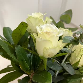 Sevgililer Günü Çiçek Fiyaskosu: Solmuş Ve Eksik Teslimat