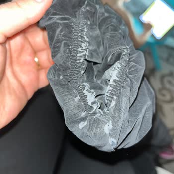 Montun Kısa Ömrü Ve Deformasyon Sorunu