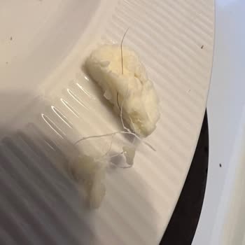 Hijyen Sorunu: Şavak Tulum Peynirinde Yabancı Maddeler