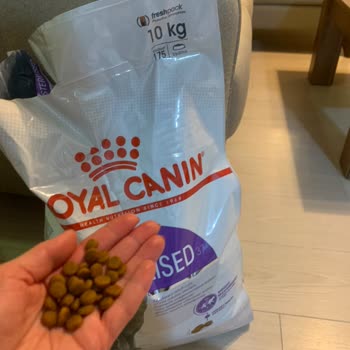 Royal Canin Sterilised 10kg Cat Food Seemed Fake—Cats Refused to Eat It