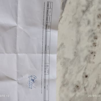 DASK Ödemeleri Ve Müşteri Hizmetlerine Ulaşamama Sorunu