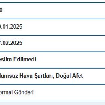 Borusan Lojistik'te Müşteri Hizmetleri ve Dağıtım Sorunu