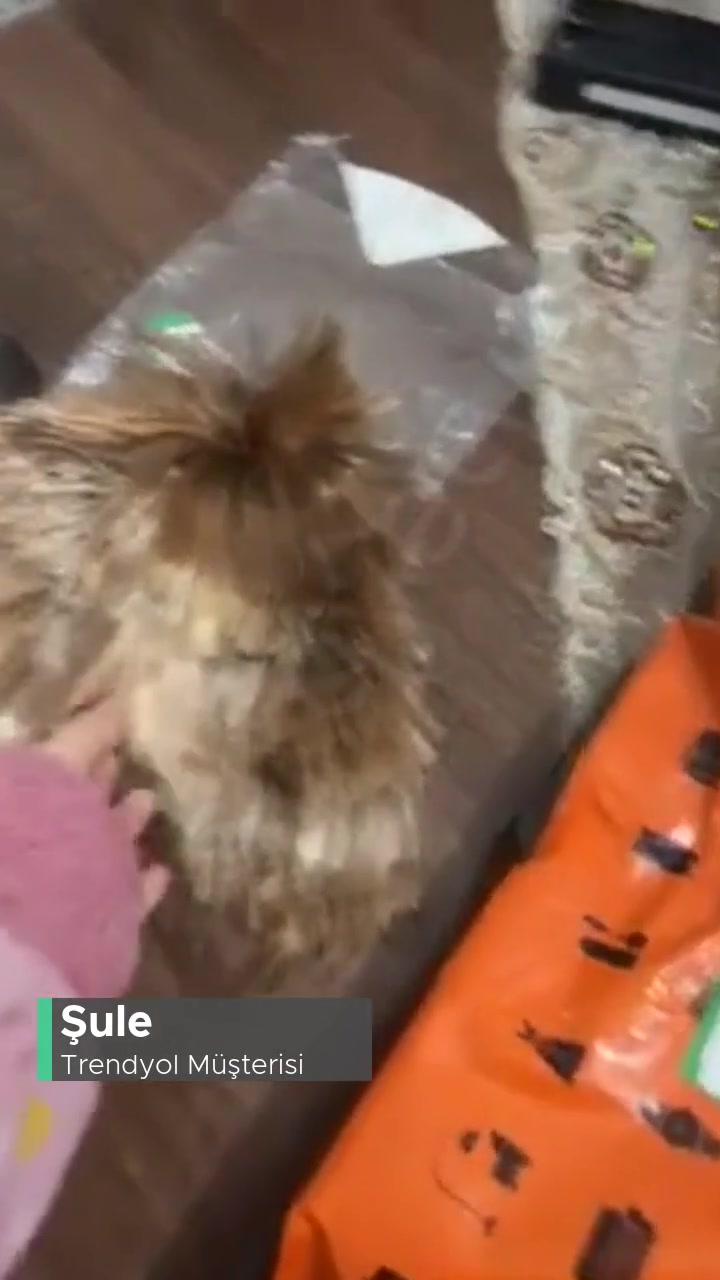 Trendyol Görselden Farklı Ürün İade Sorunu! videonun kapak resmi