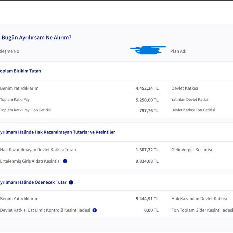 Acil Nakit İhtiyacında BES'ten Çıkışta Karşılaşılan Sorunlar