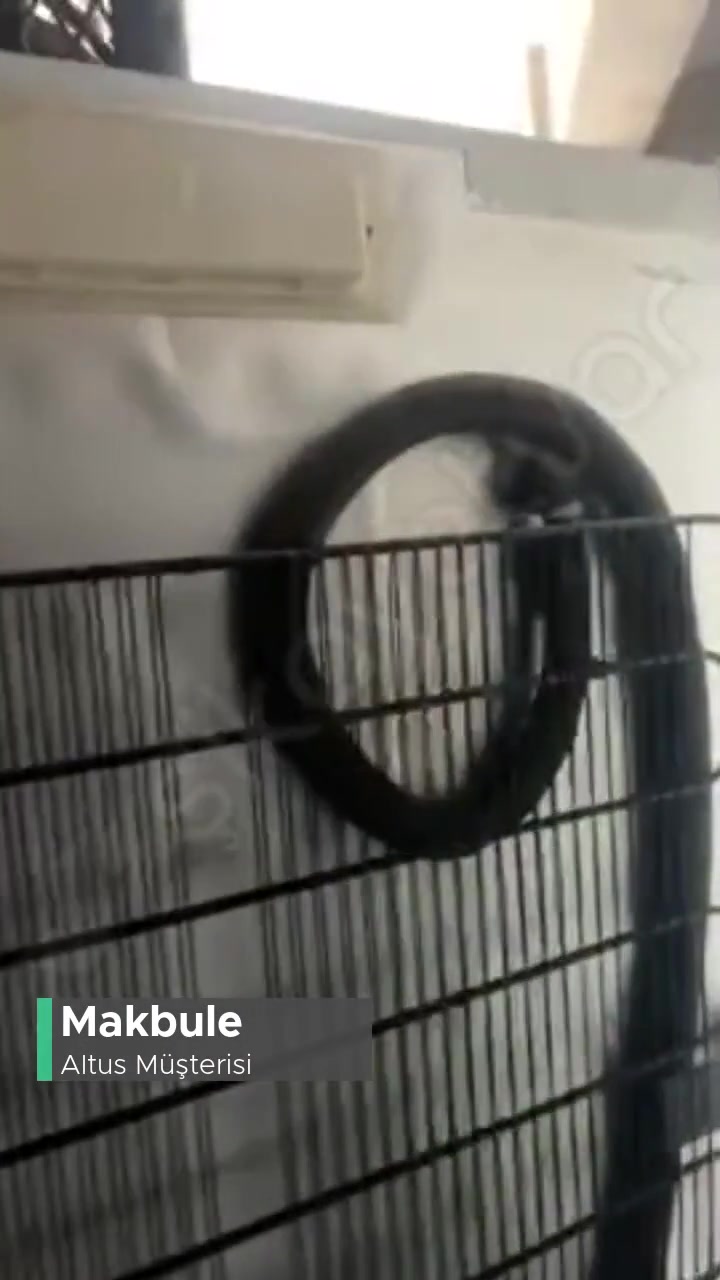 Altus Derin Dondurucu Servis Ücreti! videonun kapak resmi