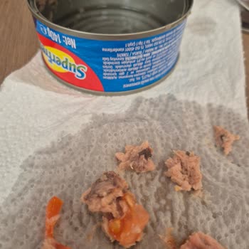 Güven Sarsan Ürün Deneyimi