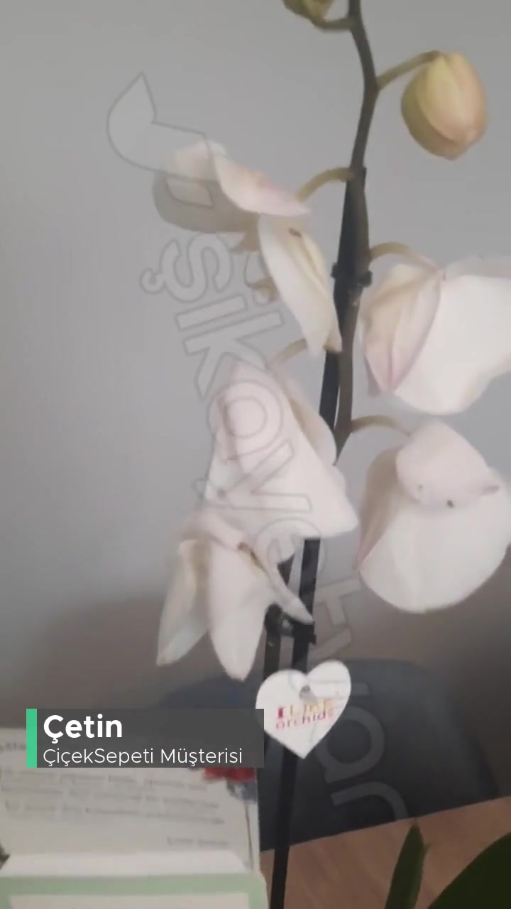 Çiçek Sepeti'nden Gelen Sipariş videonun kapak resmi
