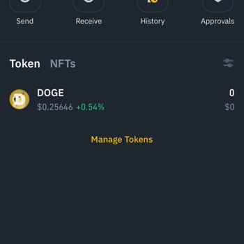 Binance Dogecoin Deposit Completed but Not Reflected in Balance
