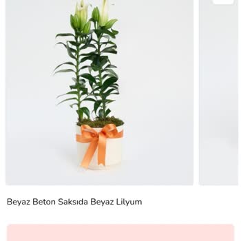 Yanlış Ve Solmuş Çiçek Teslimatı