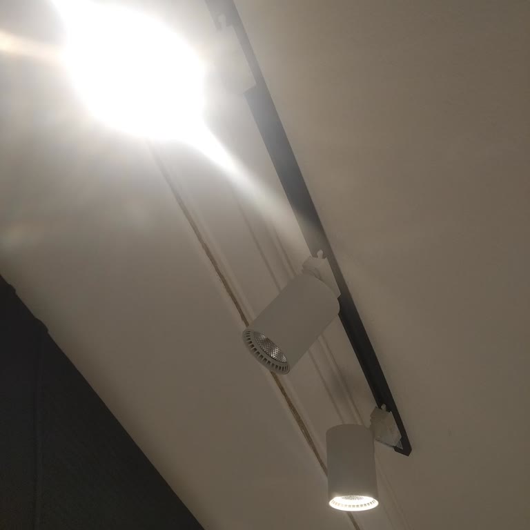 Çimen Elektrik Raylı Spot Lambanın Erken Arızası Ve Yetersiz Müşteri Hizmeti